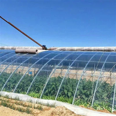 The Importance of Durability: 4-Year UV Resistant Options